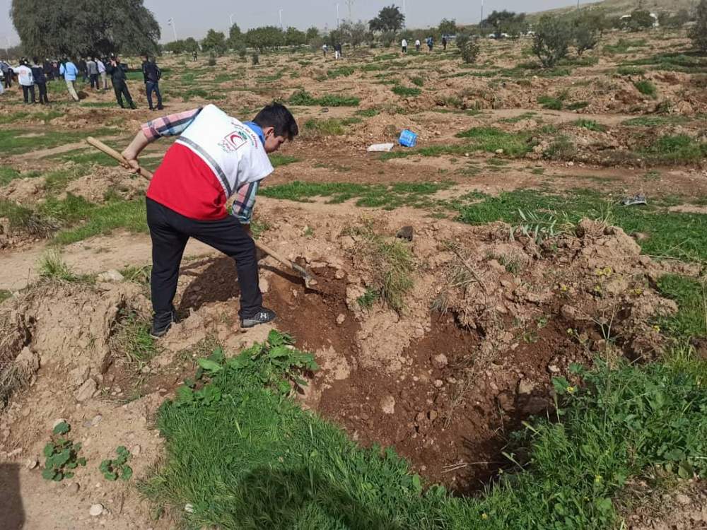 کاشت نهال به مناسبت روز درختکاری توسط اعضای جوان هلالاحمر اندیمشک