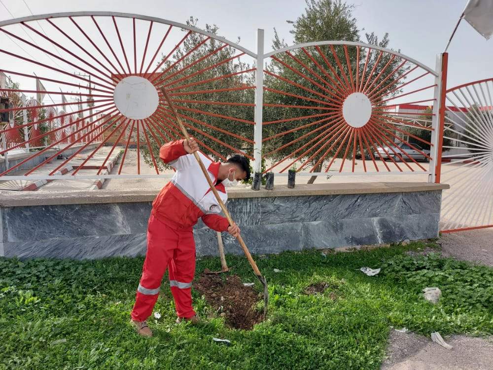 کاشت نهال در روز درختکاری به همت جوانان هلال احمر لالی