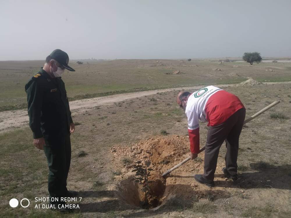 کاشت نهال به مناسبت روز درختکاری توسط اعضای هلال احمر شهرستان رامهرمز