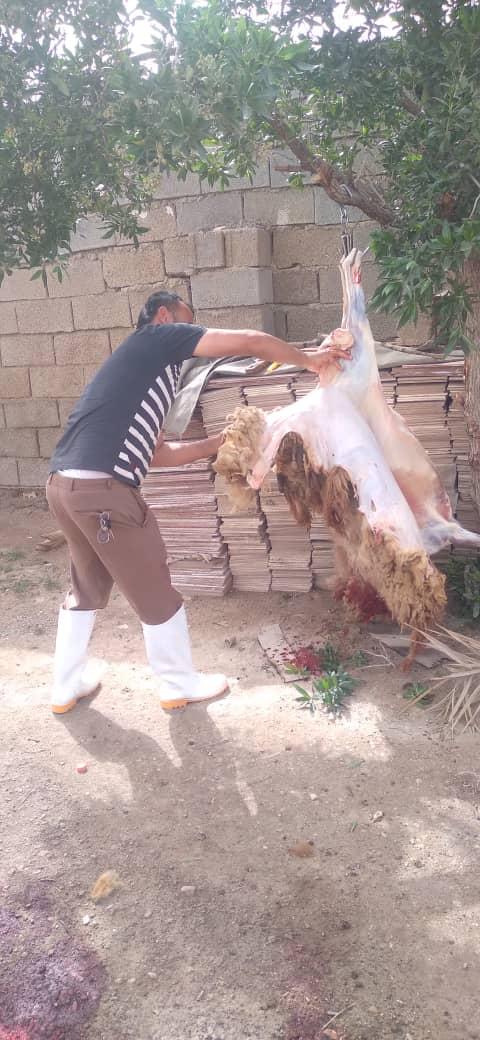 توزیع گوشت در بین نیازمندان در شادگان