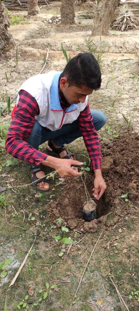 کاشت و توزیع نهال در روستای  منصوره شادگان به همت اعضای خانه هلال